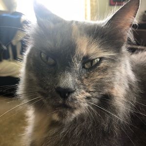 Meet your Posher, Robin